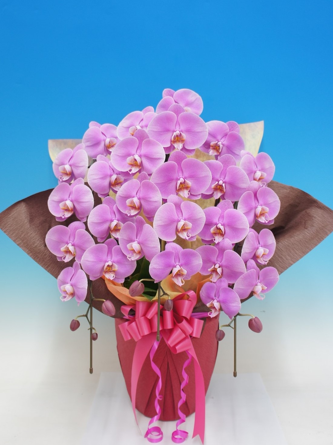 【お歳暮】ファーストレディ 3本立 3L 30輪以上