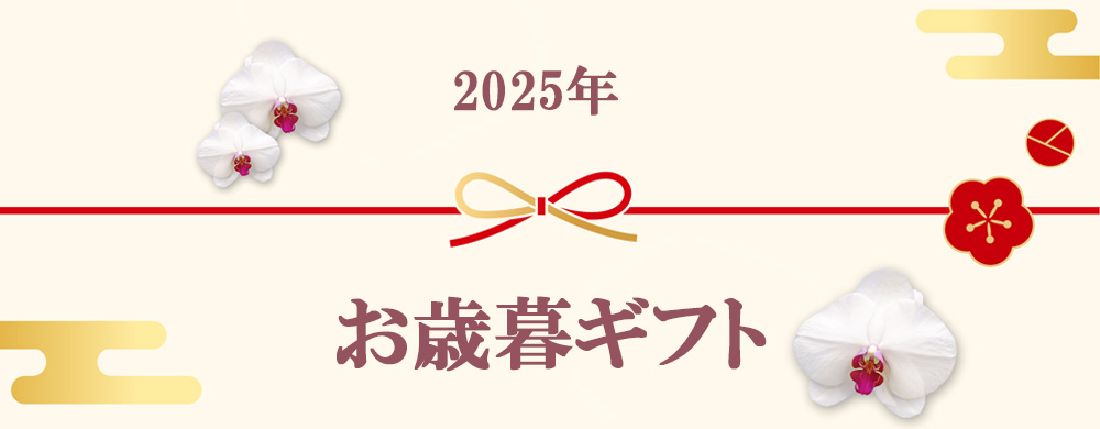 お歳暮の胡蝶蘭ギフト