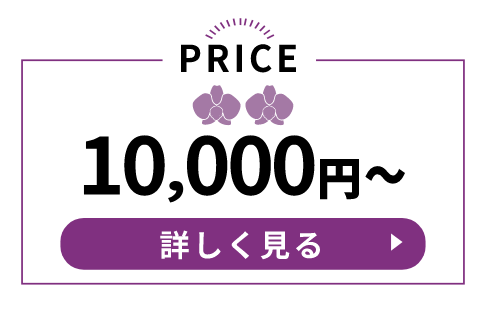 10000円～の胡蝶蘭