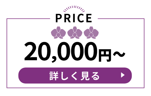 20000円～の胡蝶蘭