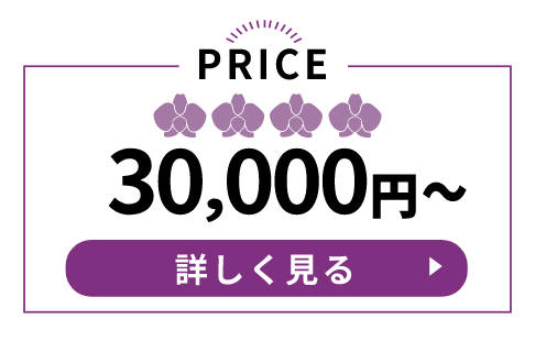 10000円～の胡蝶蘭